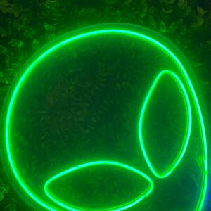 OVNI NEON LED